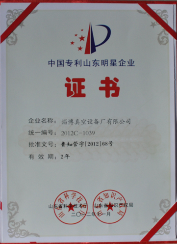 公司被山東省科學技術(shù)廳，山東省知識產(chǎn)權(quán)局評為中國專利山東明星企業(yè)